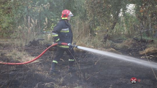 Doprowadził do pożaru na ogródkach działkowych?