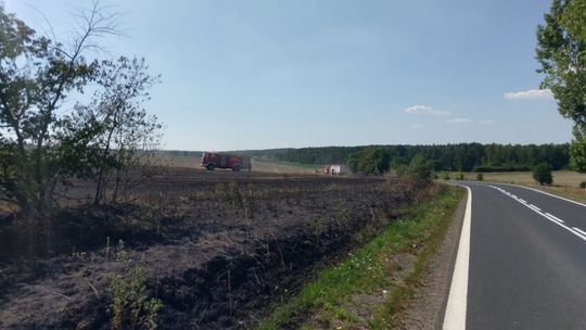 Podpalenie pól koło Henrykowa