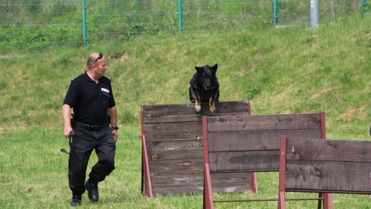 Psy na wyścigi węszyły za narkotykami i bombami