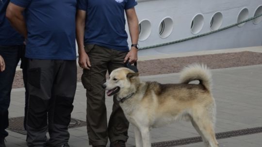 Wszystko zaczęło się od urodzinowego prezentu od rodziców.