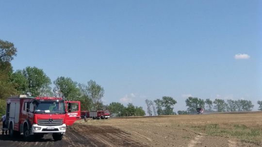 Podpalenie pól koło Henrykowa