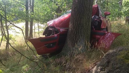 Posadziła dziecko na kolanach i wjechała w drzewo