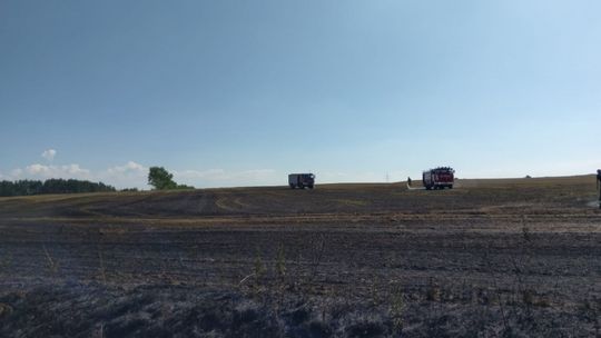 Podpalenie pól koło Henrykowa