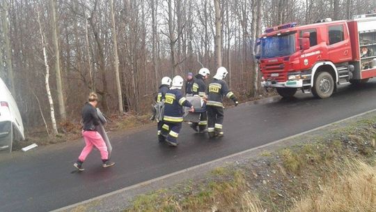 Autobus z 54 pasażerami wypadł z drogi