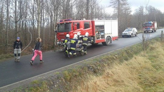 Autobus z 54 pasażerami wypadł z drogi