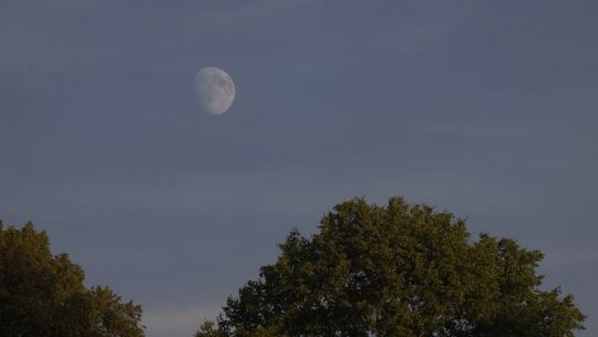 Łużyce górą w derbach!