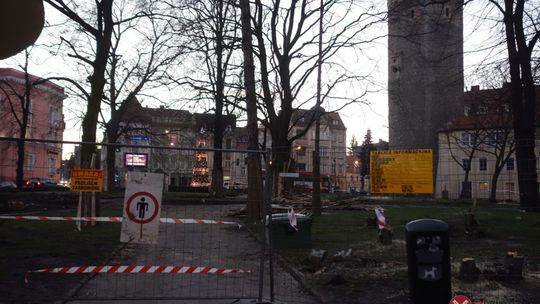 Nowe oblicze parku