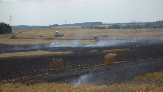 W Siekierczynie spłonęły dwa hektary żyta