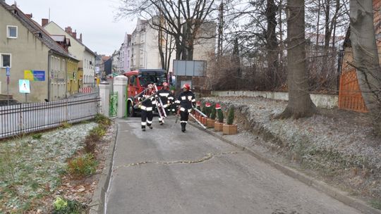 Słoneczni na ratunek Mikołajowi