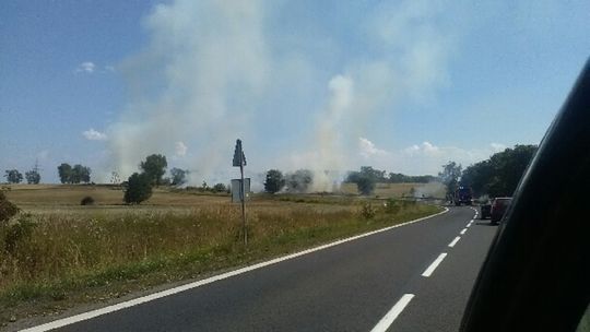 Podpalenie pól koło Henrykowa