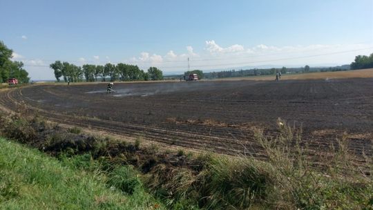 Podpalenie pól koło Henrykowa