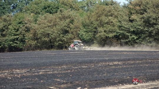 Kolejny pożar ścierniska