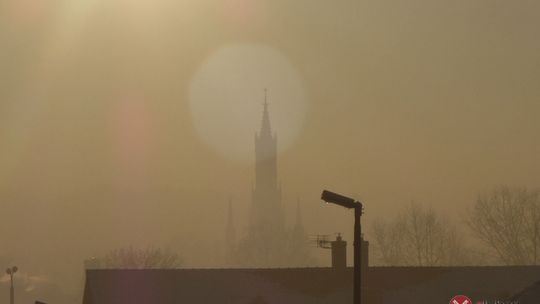 Nie jesteśmy zielonymi płucami regionu