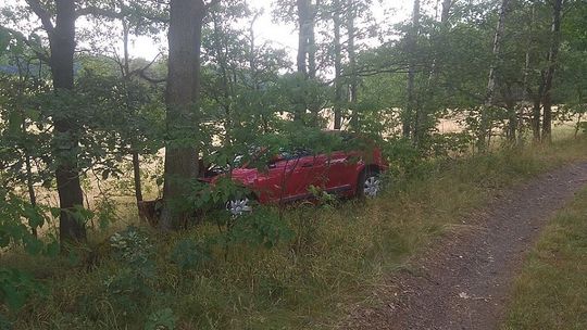 Posadziła dziecko na kolanach i wjechała w drzewo