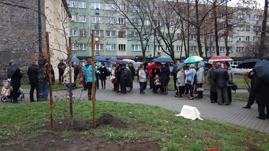 Buk - DAR organizacji pozarządowych dla Lubania