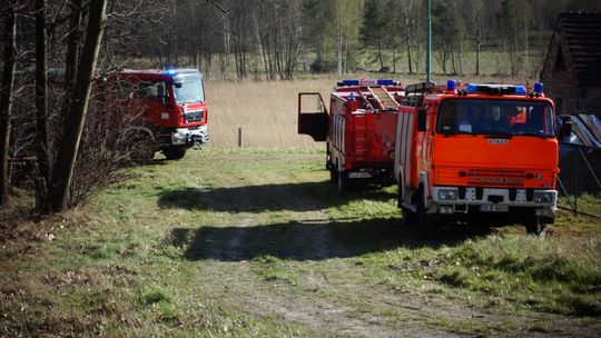 Pożar lasu w Henrykowie