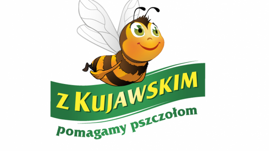 Co wiemy na temat pszczół?