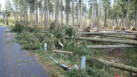 Bilans strat po nawałnicy