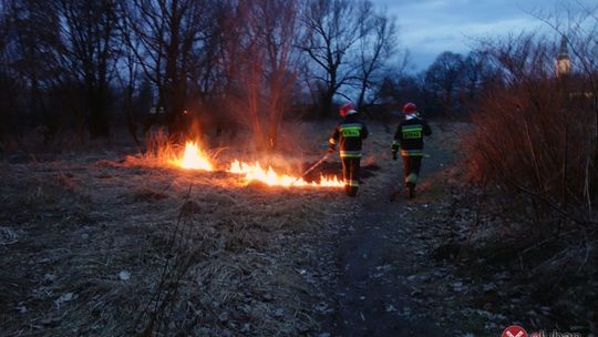 Ruszył sezon wypalania traw