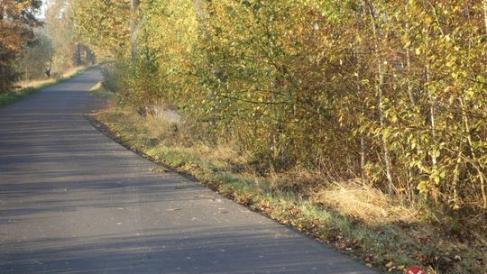 Dachowanie między Wesołówką a Pisarzowicami