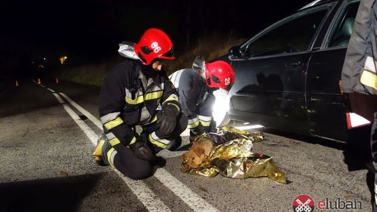 Potrącony pies utknął pod autem