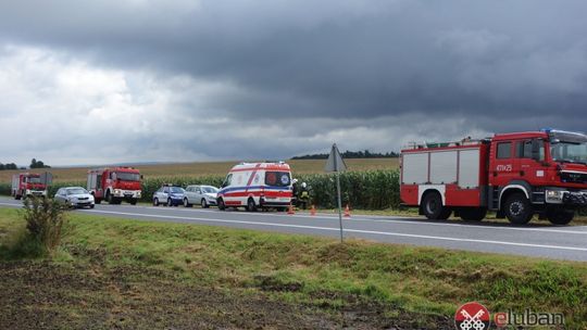 Zakończyły podróż w polu kukurydzy