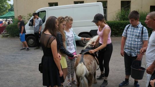 Kamieniołomy w gminie Siekierczyn - Tajemnic i zagadek ciąg dalszy