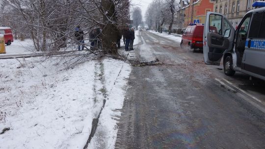 Mercedes uderzył w drzewo