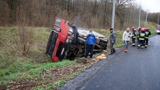 Przewoził bydło, wypadł z drogi