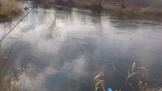 Ktoś chciał utopić szczeniaki! Cudem zostały uratowane!