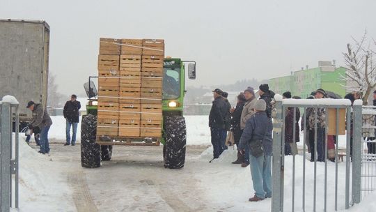 W piątek kolejna dostawa jabłek