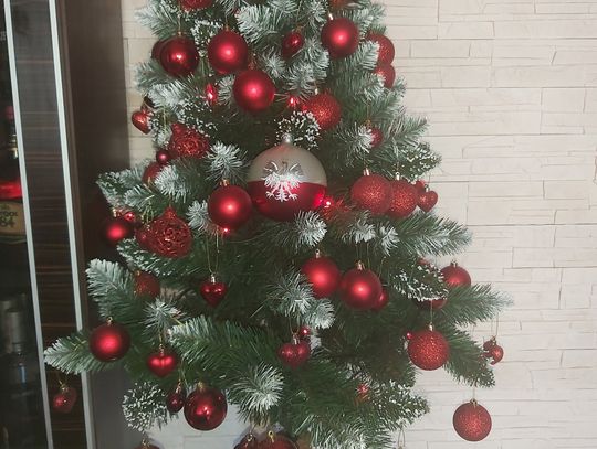 Drzewko Pana Piotra