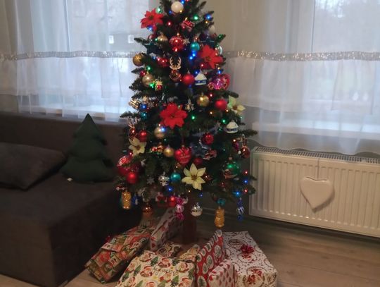 Drzewko Pani Angeliki