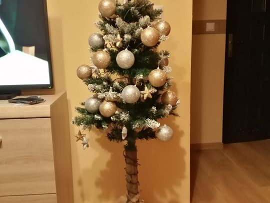 Drzewko Pani Kamili R.