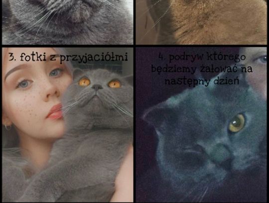 Mem 9 Mem 9